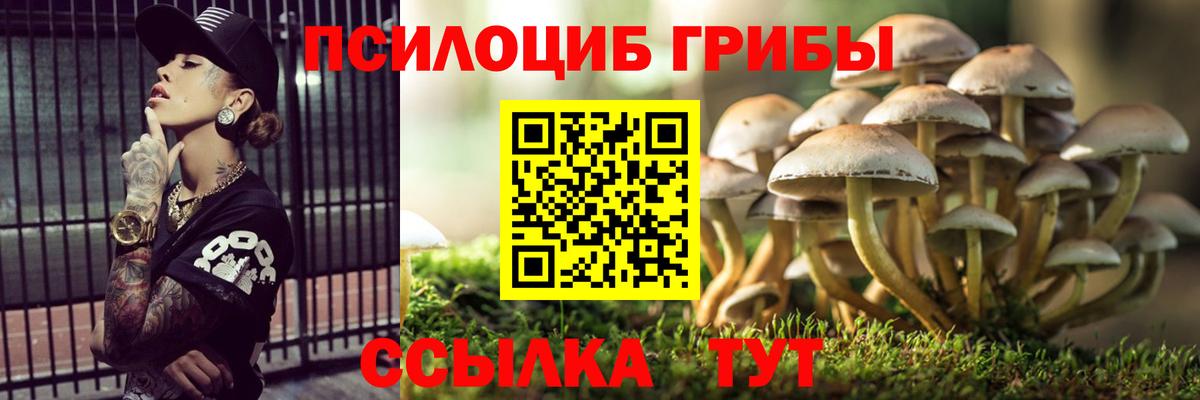 Зима  Галлюциногенные грибы Psilocybe  Галлюциногенные грибы MAGIC MUSHROOMS  Вход с VPN 