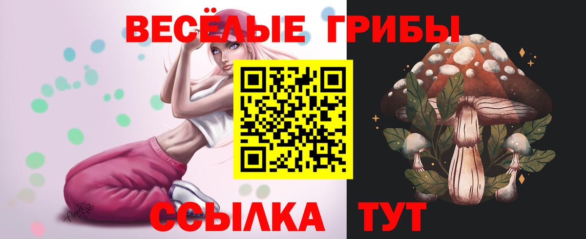 Галлюциногенные грибы прущие грибы Зима