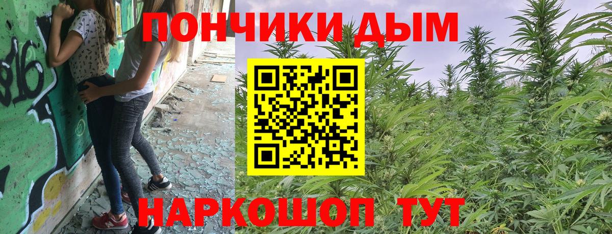 Конопля гибрид Зима